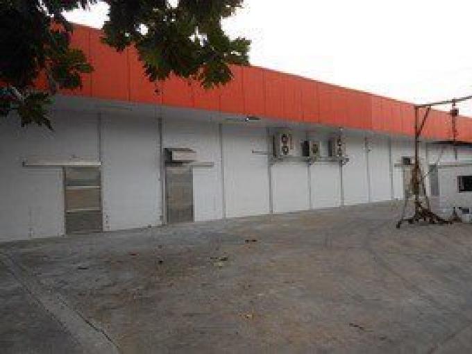 ให้เช่าโรงงานผลิตอาหาร 360 ตรม ซอยเรวดี อเมืองนนทบุรี ใกล้แคราย มีGMP ภาพที่ 7